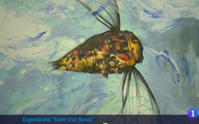 Exposición “Save Our Souls” en RTVE